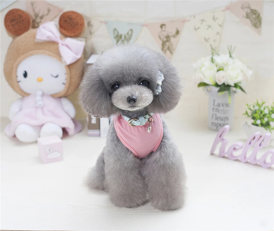 Dog Clothes Summer Clothing for Dogs Chihuahua Pet Clothes Cat S M L XL XXL Dogs Pets Clothing Animal Print 4 colors (12)