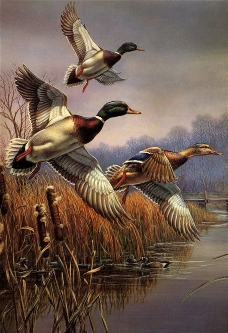 8125ce763d9aea064ac92c0cb3aece0f