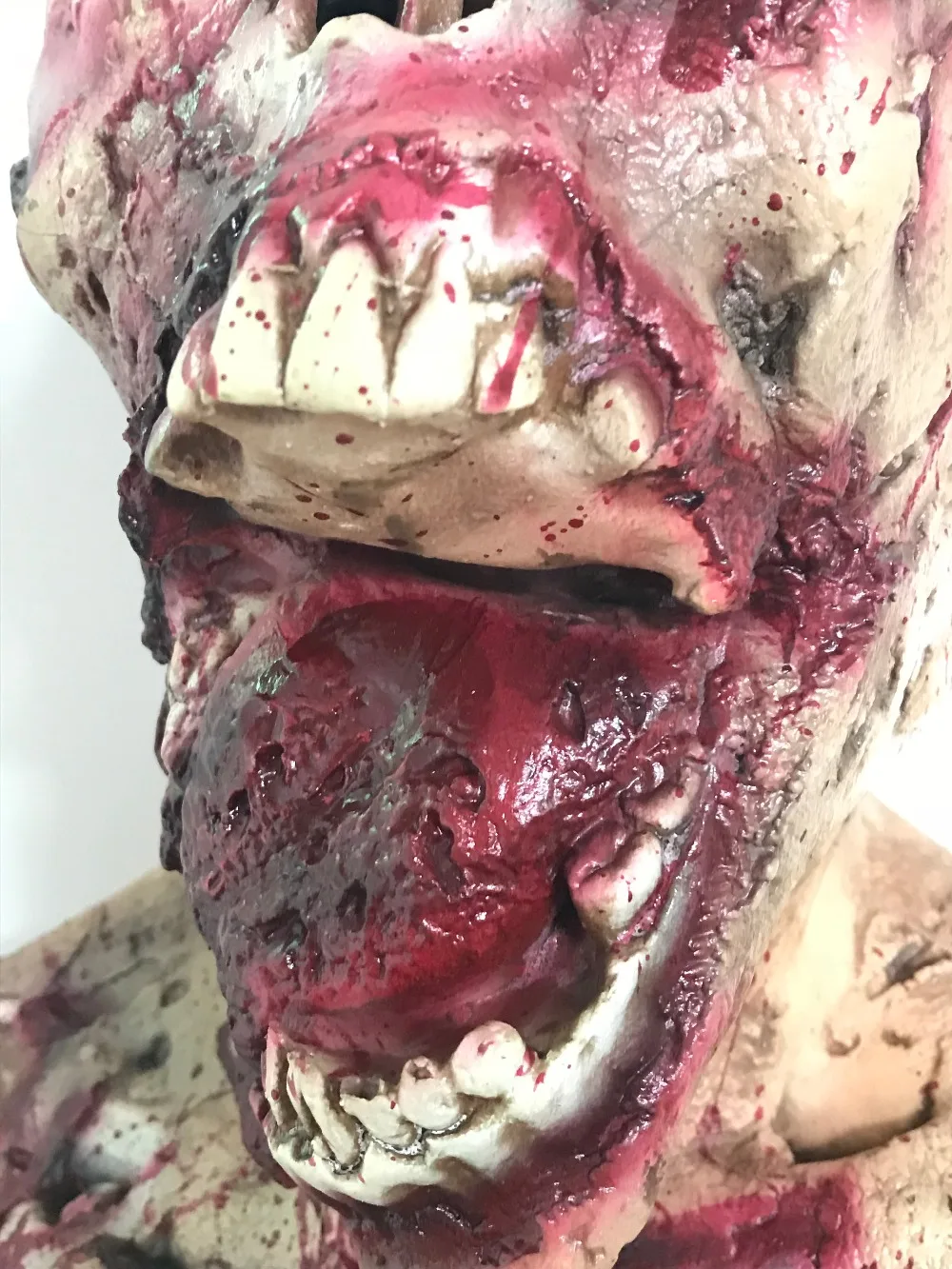 IMG_9530