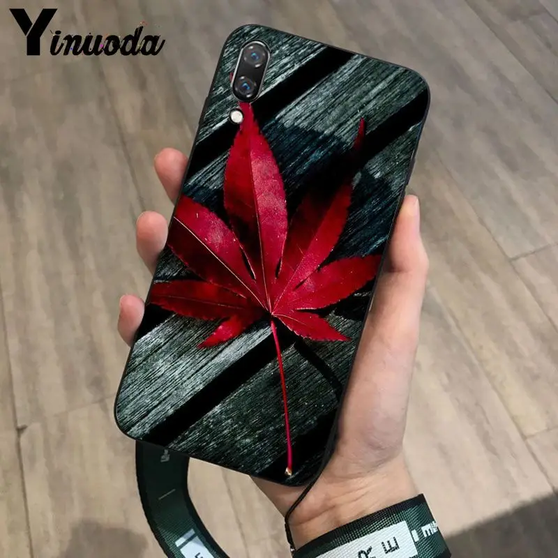 Deciduous maple leaf