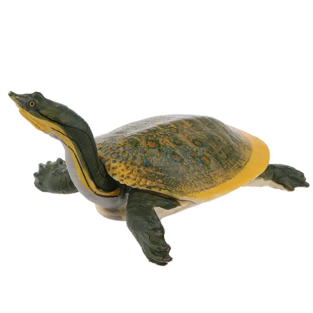 Animals Figure Toys Sea Soft-shelled turtle Animals Model Aquarium Toys Realistic Wild Pastic Figurine Animal Developmental Toy