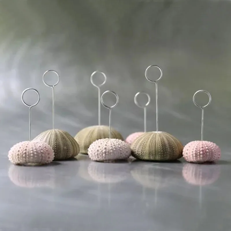 

Free Shipping Super Lovely Pink Sea Urchin Place Card Hold for Beach Wedding Natural Shell Conch Reception Table Chic Decor