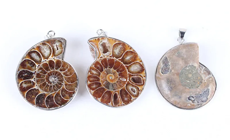 10130385601_1851703848