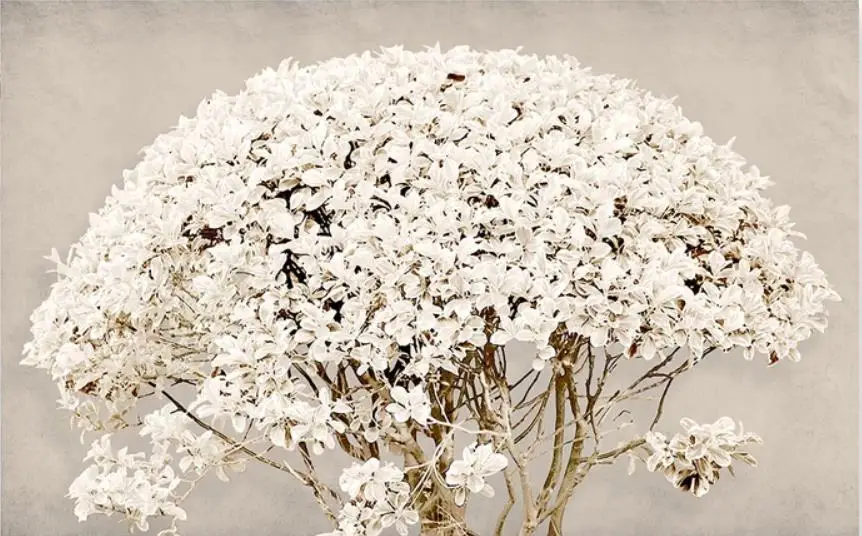 

Modern minimalistic abstract three-dimensional tree 3d background wall painting modern wallpaper for living room