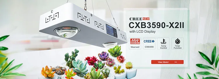 CXB3590 Banner Promotion