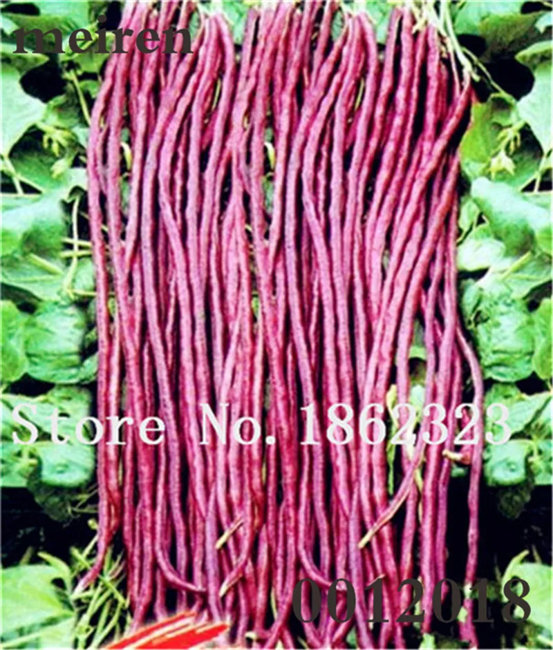 

10 pcs/bag Bean Bonsai Non-GMO vegetable, green beans Plant, Natural growth, Courtyard & Balcony Outdoor Plant for Home Garden