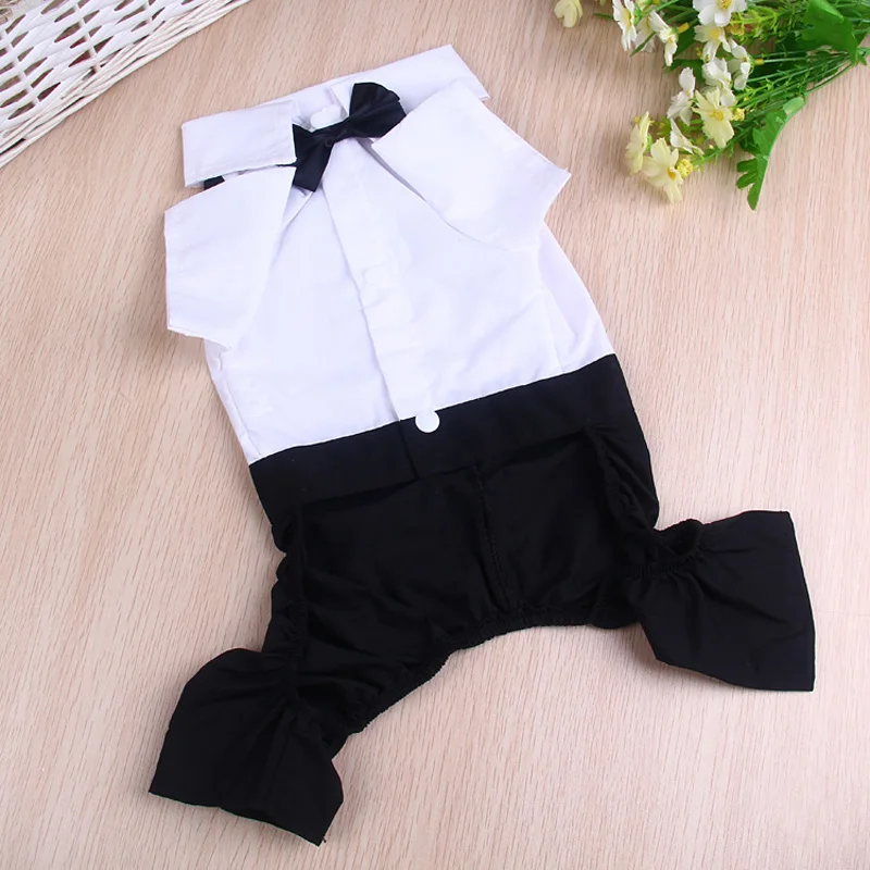 2511283950_135618790