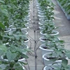Équipement d'irrigation de jardin à flèche incurvée | 1 ensemble de systèmes d'irrigation de jardin, plantes à effet de serre, équipement d'irrigation à goutte d'énergie ► Photo 3/6