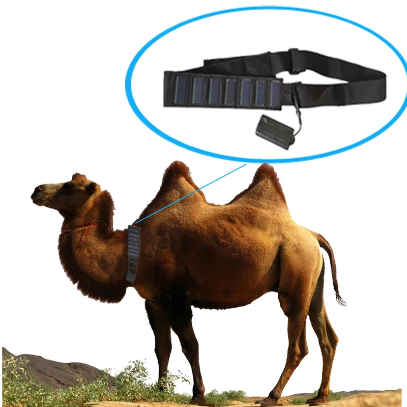 cow-camel-horse-gps-tracker-with-solar-power-collar-for-big-animals
