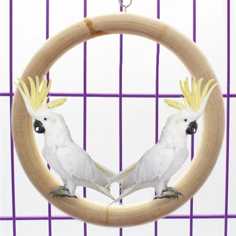 Parrot Supplies Bite Toy Swing Stand Stand Bar Climbing Ladder Bird Toys Swing bird bath productos de palomas D12 (4)