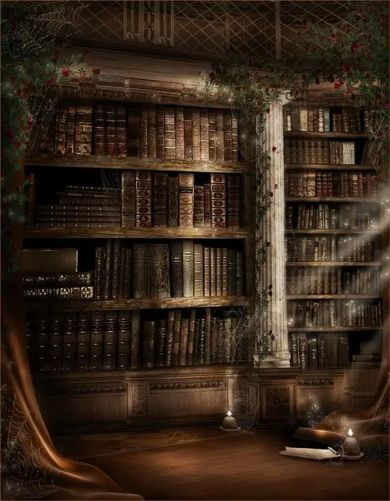 

SHANNY 8x10ft Vinyl backdrop Photography Backdrops Bookshelf theme Photo Studio Background SJ-4005