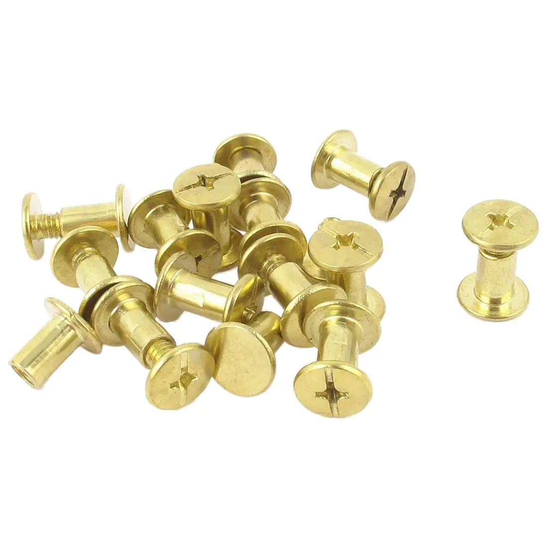 

15 Pieces Hot Sale 5mmx8mm Brass Plated Binding Chicago Screw for Money Belt Clamping Screw