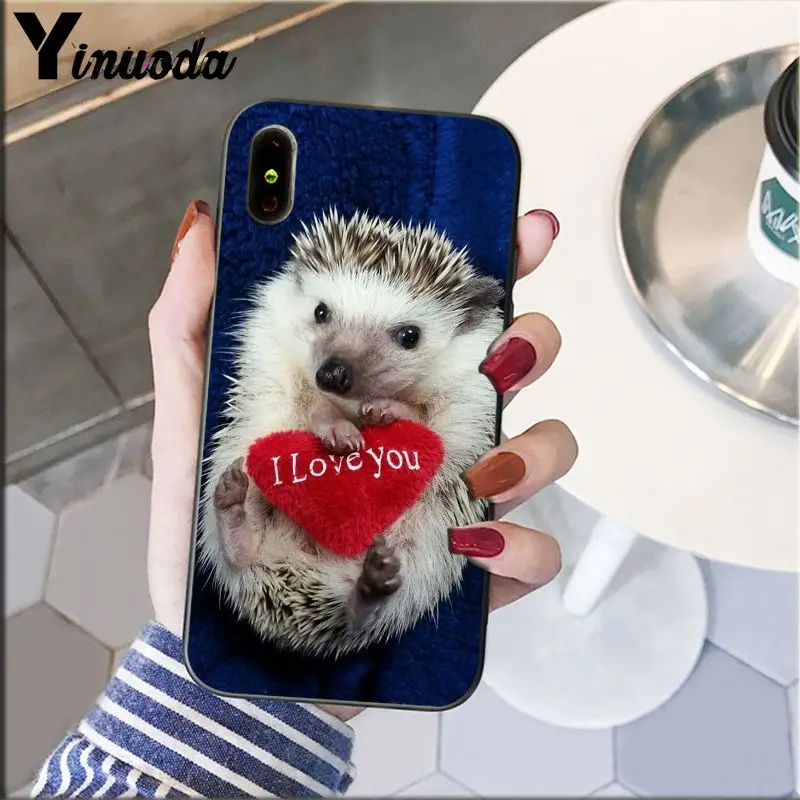 Hedgehog Cute in Teacup Animal Art