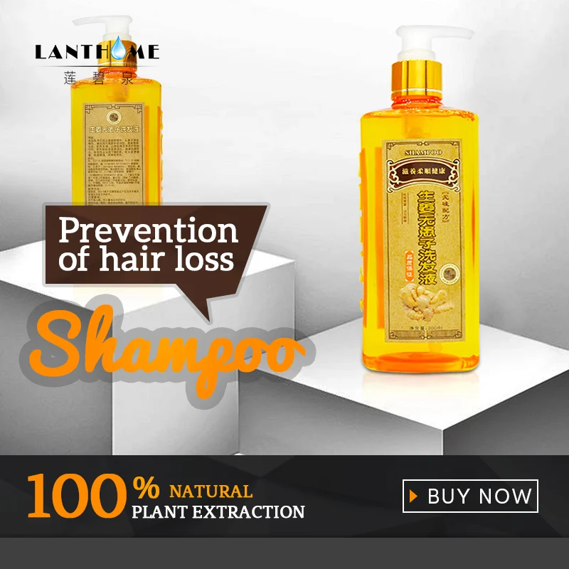 Professional Ginger Shampoo Anti Hair Loss Product Hair Care Shampoo for Hair regrowth 300ml Natural Fast Thicker Hair Treatment