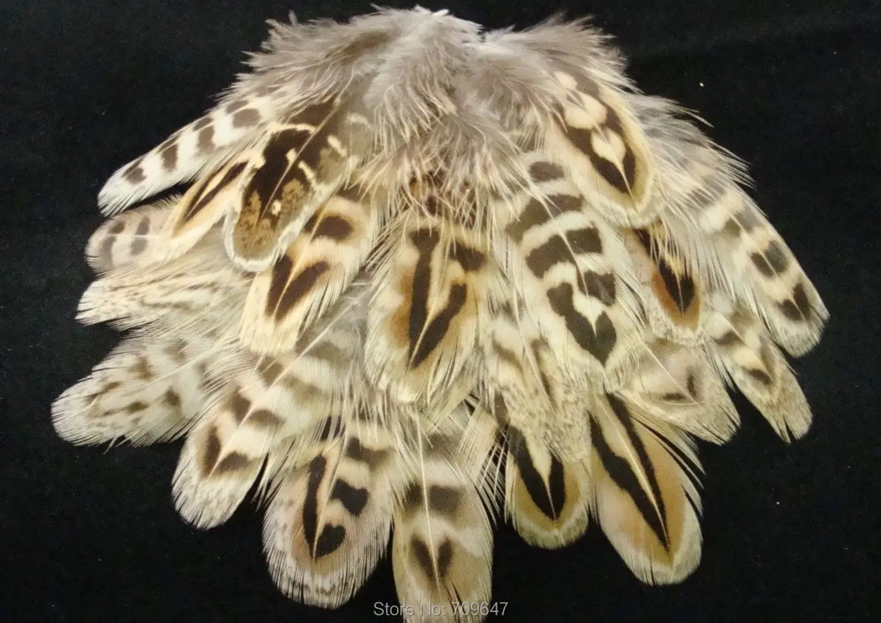 

Wholesale!200PCS/LOT! 2-4inches RINGNECK HEN PHEASANT BODY FEATHERS PLUMAGE,Loose Hen RINGNECK PHEASANT Feathers