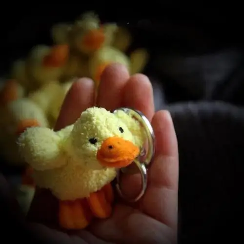 Оригинальная мини-игрушка в виде желтой утки, совы, голубого Кита, Выдра, дельфин, Имитация животных, плюшевая игрушка, кукла, детский подарок на день рождения - Цвет: yellow duck