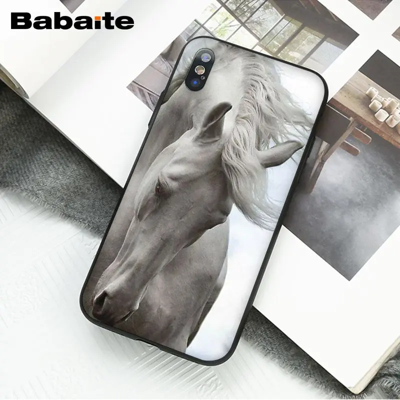 Horse Animal