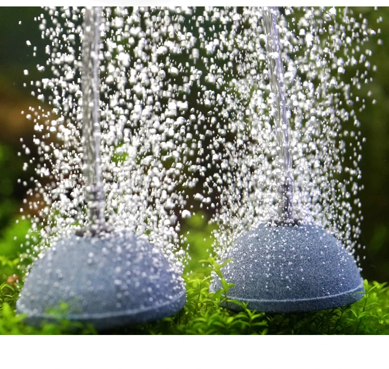 センチ直径水族館水槽酸素気泡空気石半円グレープレートミネラル酸素空気ラウンドバブル石f 8ミリメートルホース Bubble Air Bubble Stoneair Stone Aliexpress