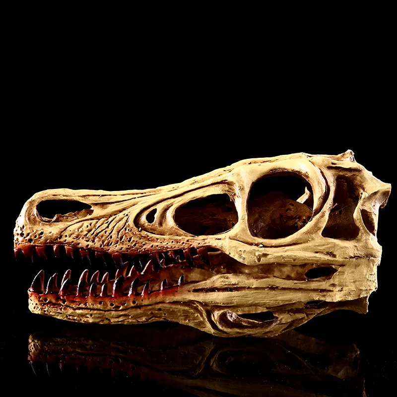 

Moquerry Raptor Dinosaur Skull Model Resin Skull Replica Head Model Skeleton Collection Resin Skull Home Decor Halloween