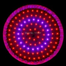 E40 300 Вт 80 Red : 20 Blue высокой мощности из светодиодов светать AC85—265V гидропоники завод овощей зеленые из светодиодов светать PAR95