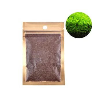 

Aquatic Double Leaf Plant Seeds Aquarium Plant Seeds Aquarium Fish Tank Decor