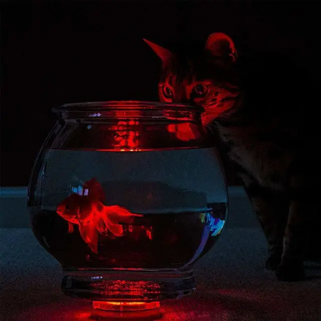 under vase light