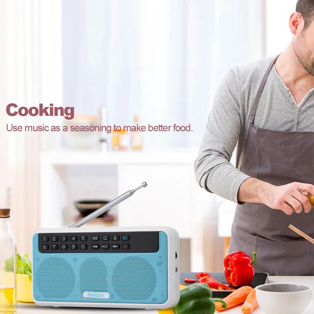 Rolton E500 Wireless Bluetooth Speaker Portable 6W HiFi Stereo TF Music Player Digital FM Radio LED Display Mic