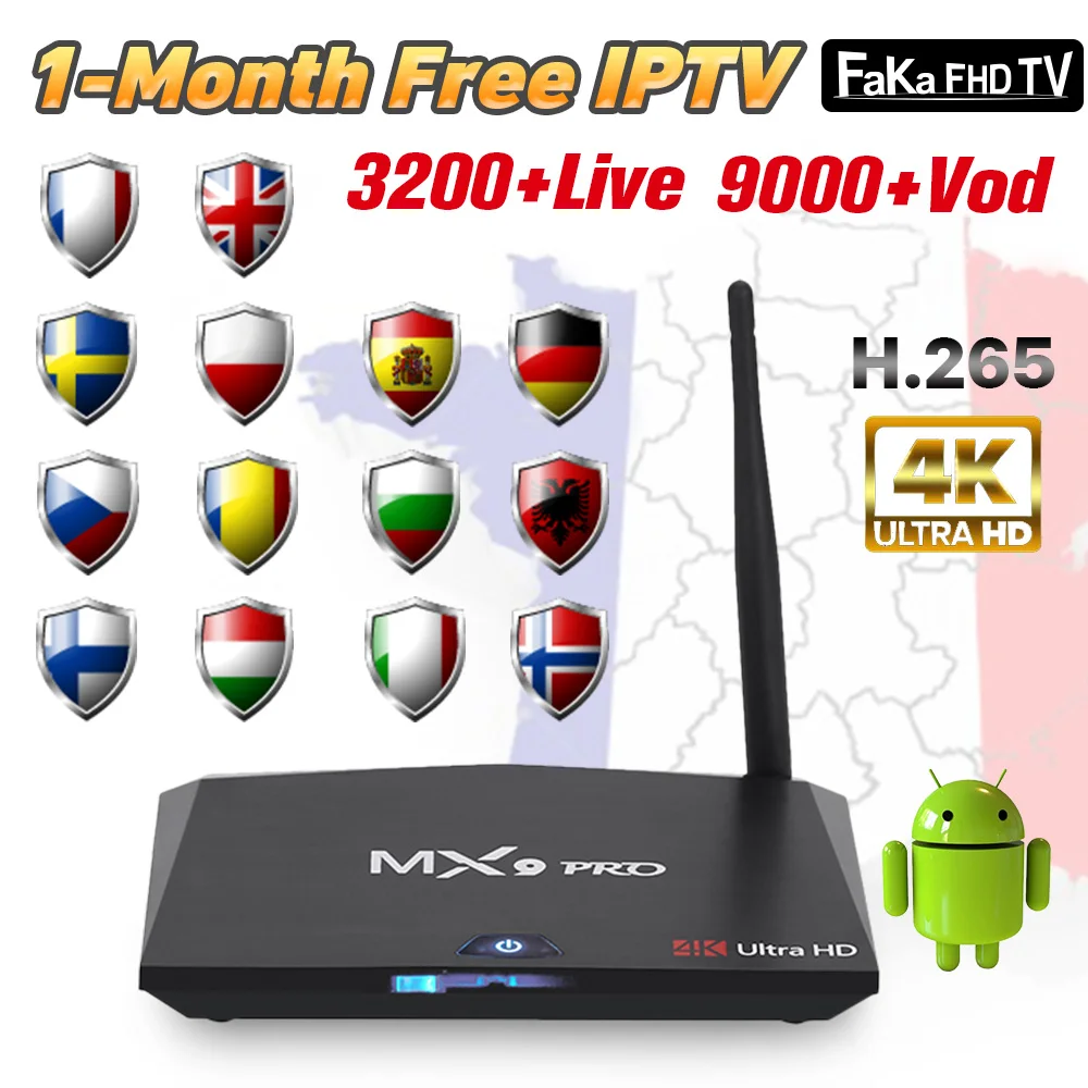 

Italy Canada IPTV MX9 Pro 1 month IP TV Arabic France IPTV Subscription TV Box Android 8.1 Turkey Germany Spain Italian UK IPTV