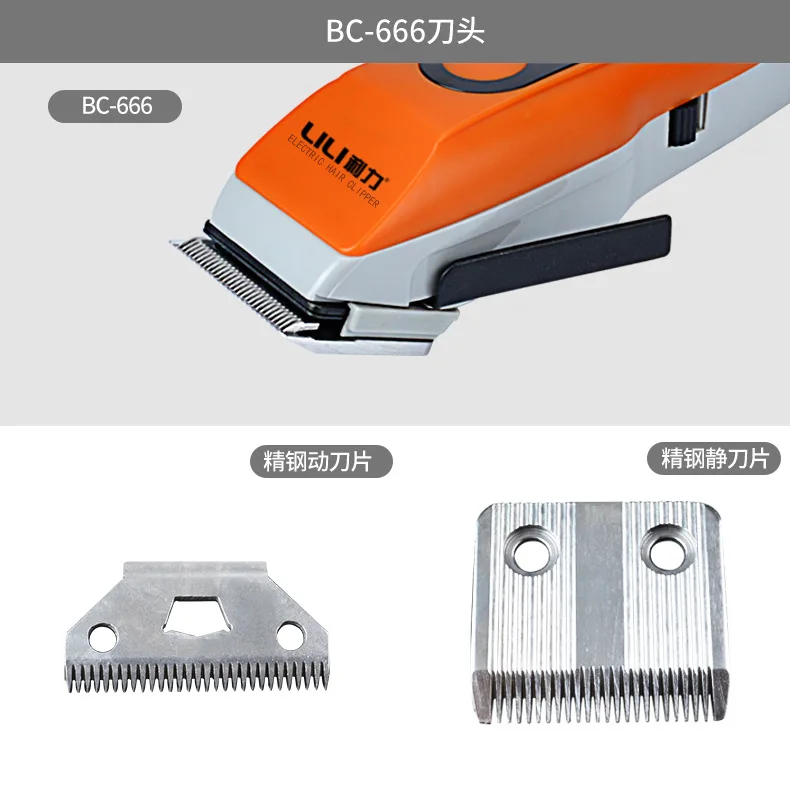 3699973252_822936908