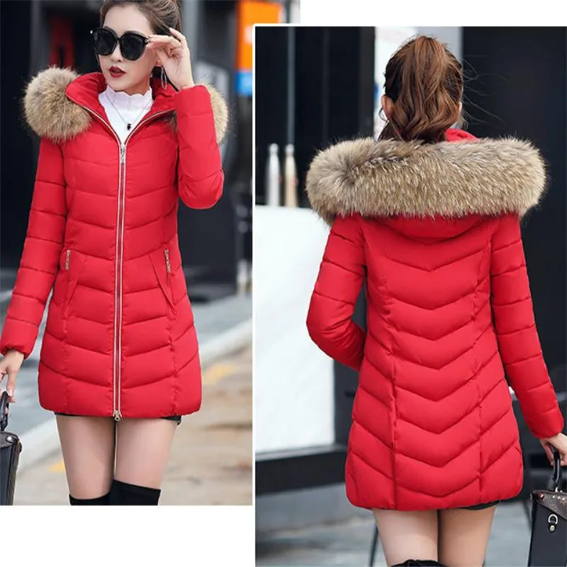 36020181003204605403