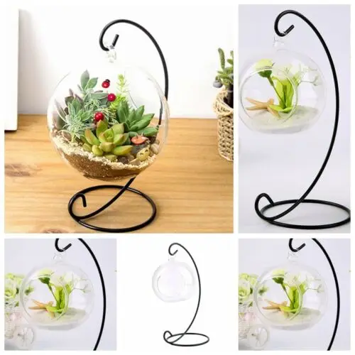 

Succulent Micro Landscape Hanging Glass Flower Planter Vase Terrarium Container+Bracket Home Office Decor