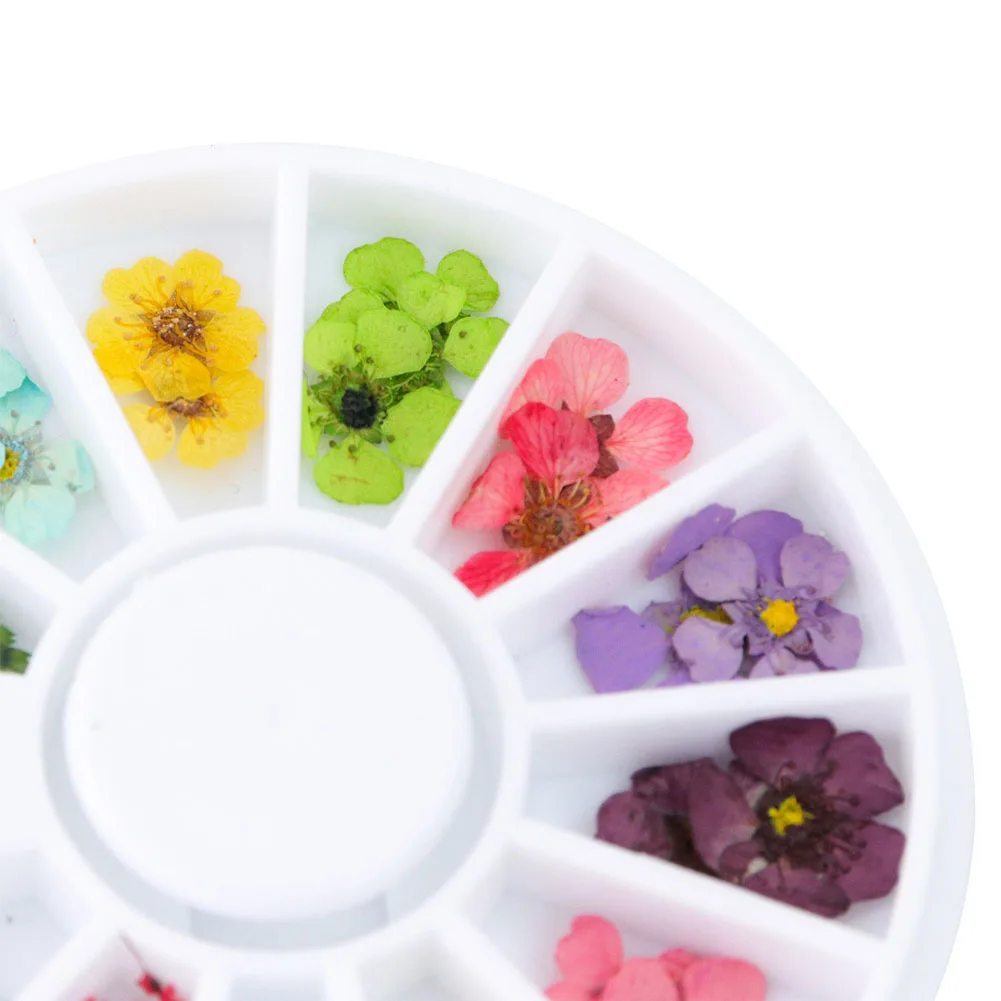3D натуральный сухой высушенный цветок для ногтей искусство УФ Гель-лак прессованный Цветок Цветение Украшение DIY Дизайн Маникюр украшения для ногтей в колесо