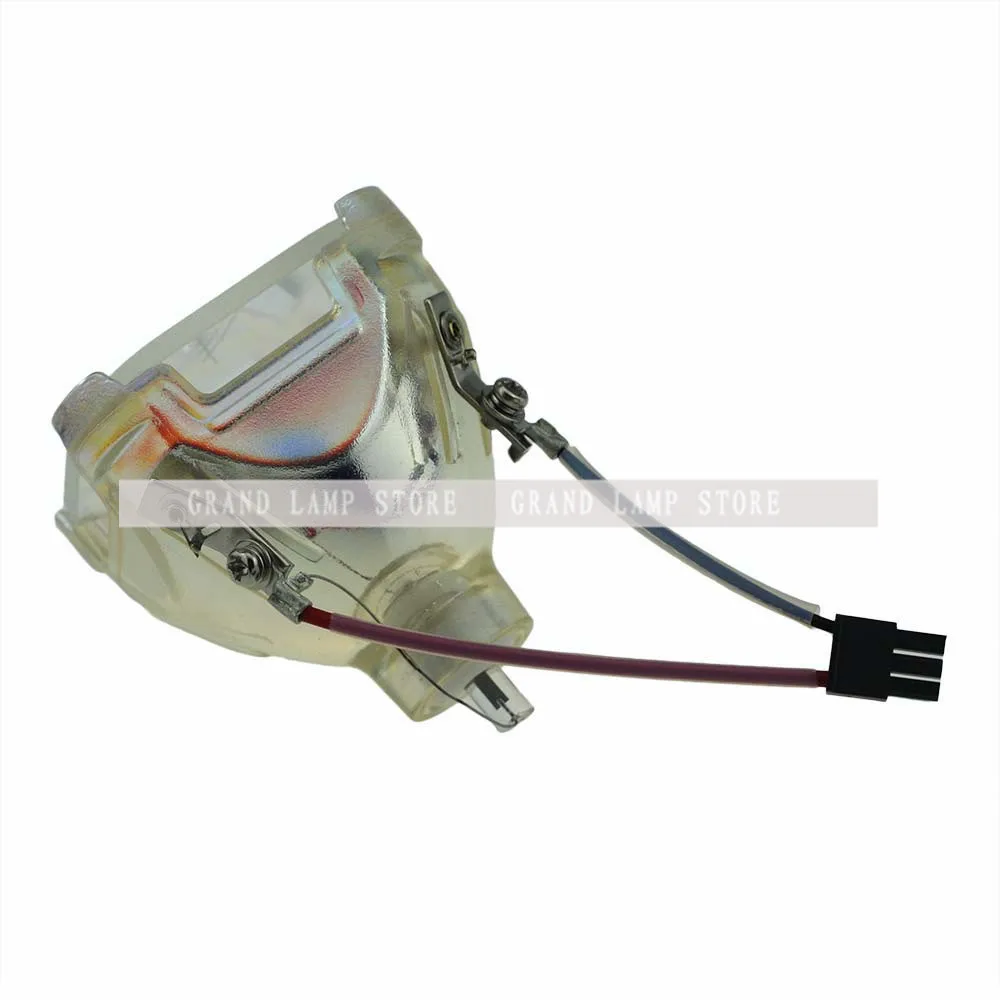 SP-LAMP-005-1