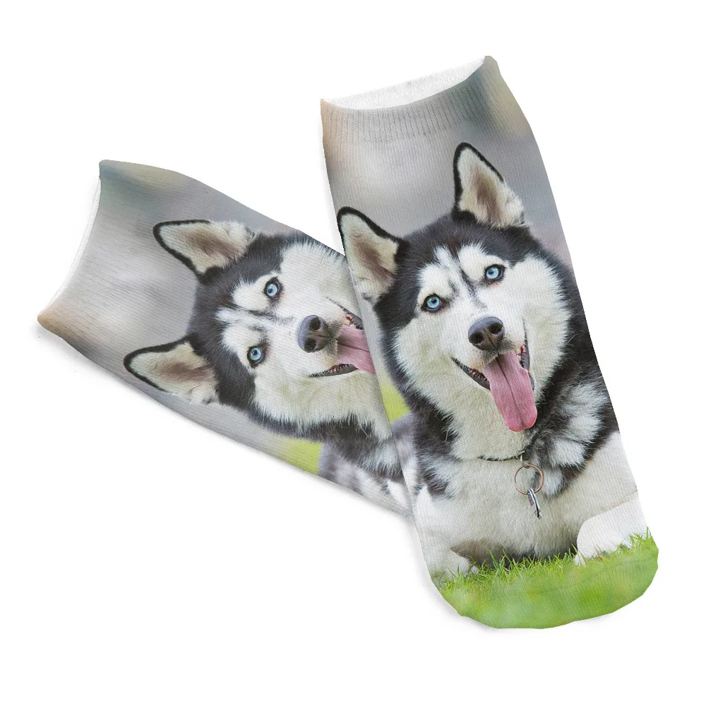 Новые 3D принты животных носки Модные Huskies Французский бульдог Арт картина женские носки цветные хлопчатобумажные носки для женщин