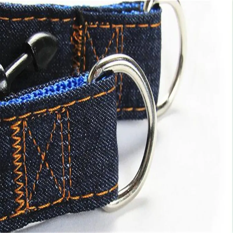 dog collar (9)