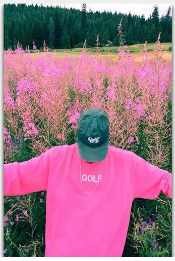 Тайлер создатель рэп музыка ПЕВЕЦ рэпер звезда искусство настенный Декор