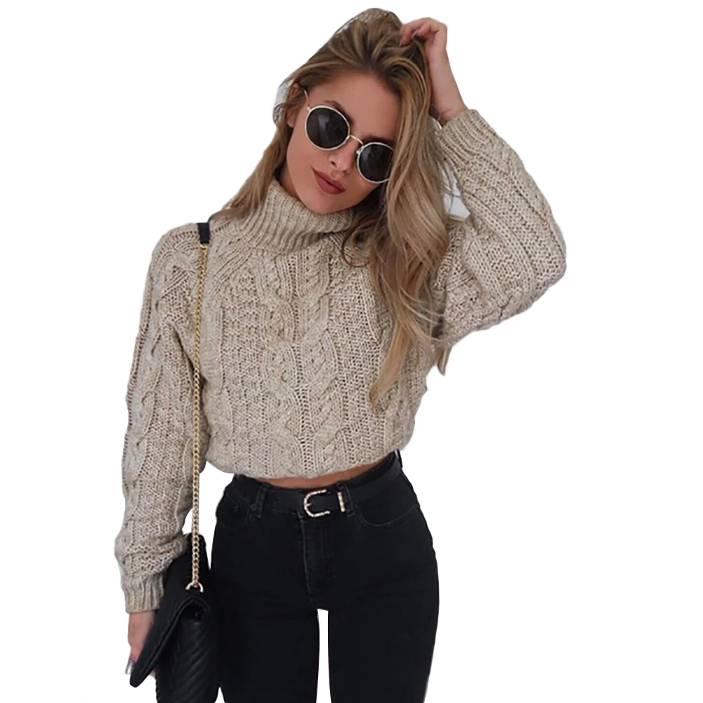 

Short Style Winter Turtle Neck Sweater Solid Color Women Fashion Braided Jumper