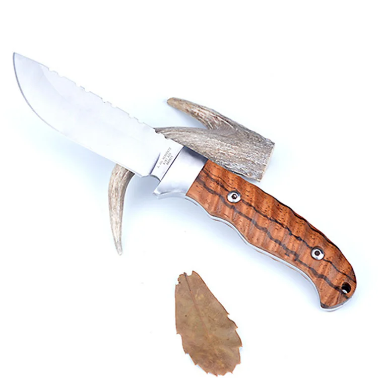 8745865429_1611285389