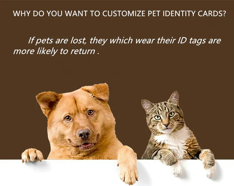 HTB1v0WNXsnrK1RjSspkq6yuvXXa5
