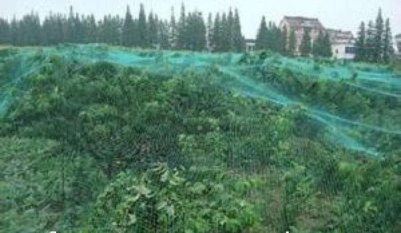 Оптовая продажа садовая сетка для ограждения растительная лоза Зеленая Сетка