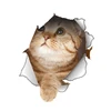 Vinyl Cat 3D Wall Sticker Hole View Bathroom Toilet Living Room Home Decor Decal Poster Background DIY Stickers on the wall ► Photo 3/5