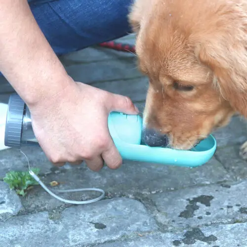 Новая чашка Щенок Собака Кошка Pet бутылка для воды путешествия открытый портативная кормушка