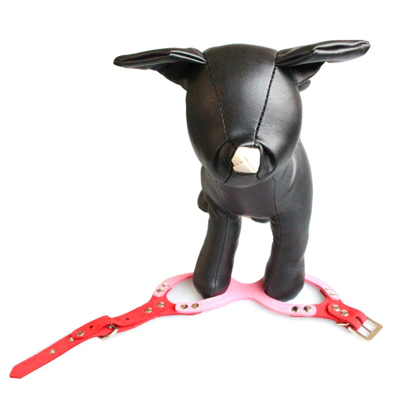 7 leash for dog