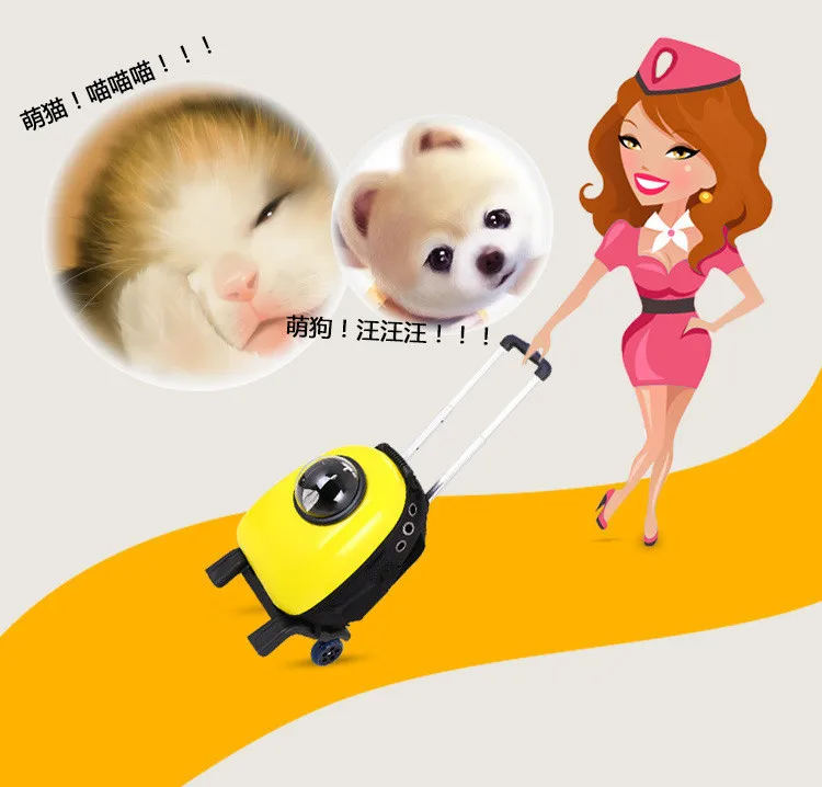  Pet Bag 01