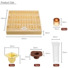 Инструменты для пчеловодства комплект оборудования вывод маток Системы культивирование Box 120 сотовый Пластик Bee сотовый чашки комплект чашек маточная Клеточка