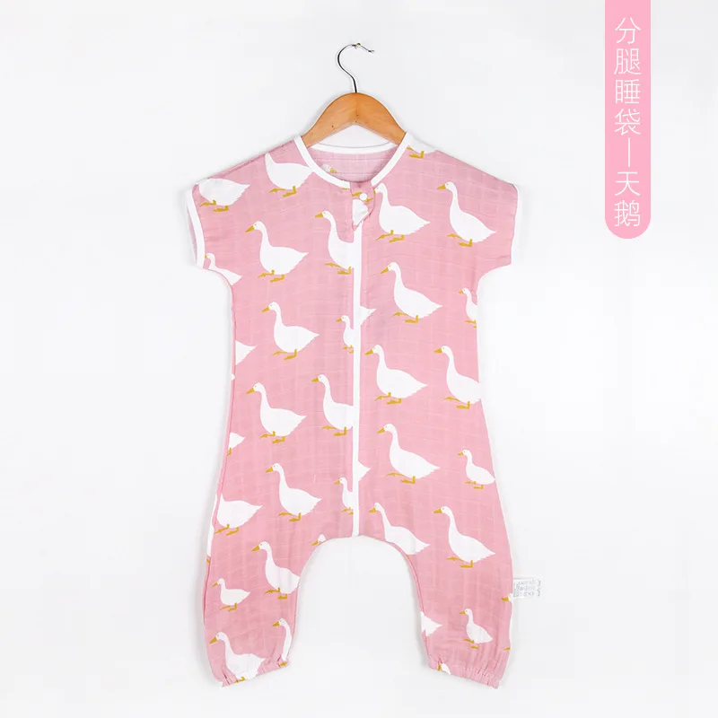 9075335630_2015697164