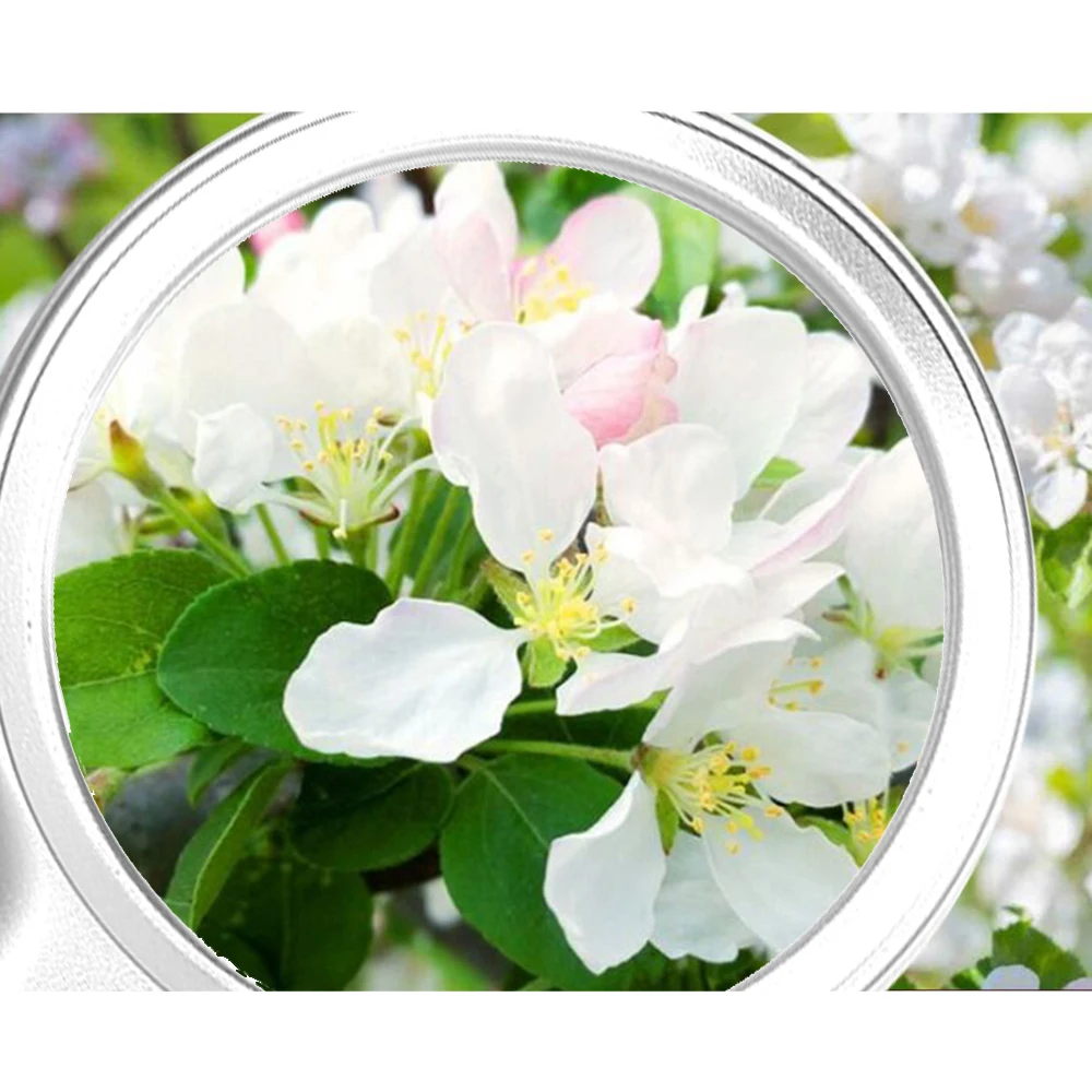 KKMOON TH7006 многофункциональное настольное ручное увеличительное стекло с светодиодный светильник Настольная лампа регулируемый угол для чтения