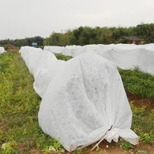 Behogar 2x5 м Многоразовые Дышащие защиты от холодных Морозов Растениеводство Крышка Одеяло для сада фермы во дворе Orchard