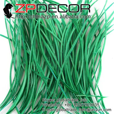 Kelly Green Zpdecor 200 шт/партия 20-25 см(8-10 дюймов) галстук-бабочка Премиум яркий белый большой Биот гусиные перья для карнавальный головной убор Декор - Цвет: Kelly Green