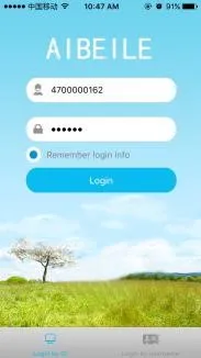 Login Interface